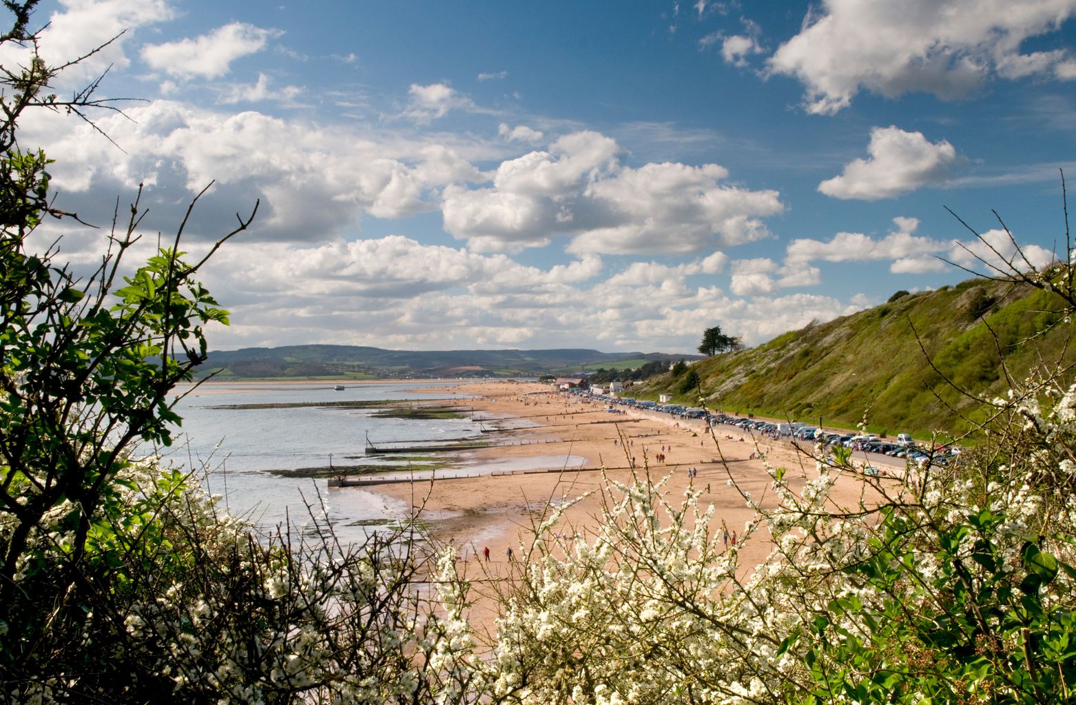 Campaigners across Devon 'continue to fight to clean up our waterways